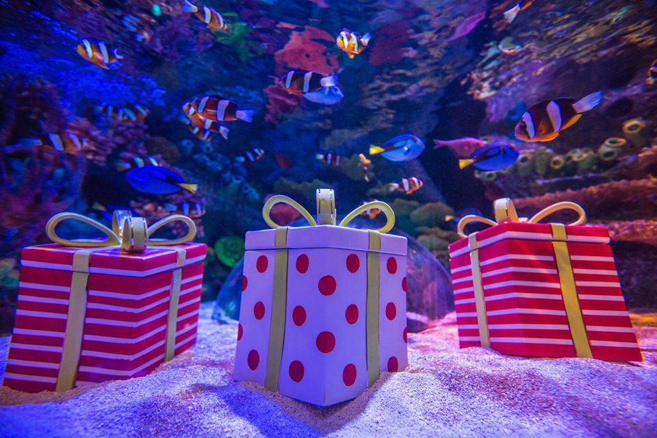 Fishmas