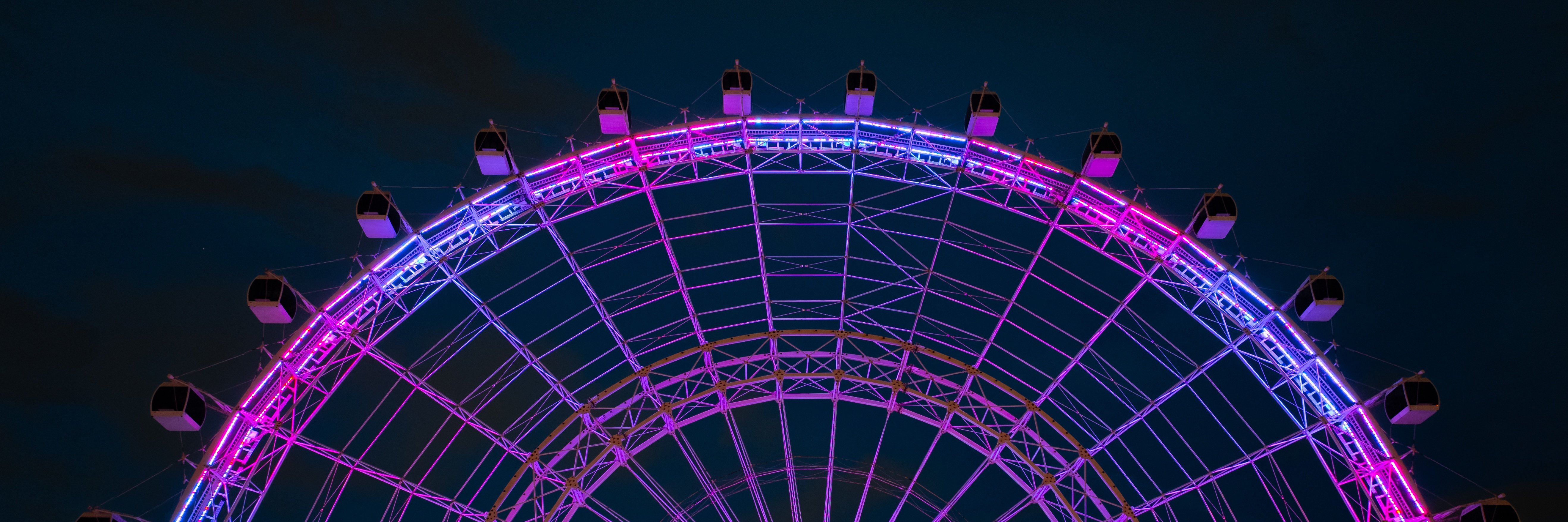 Gender Reveal The Orlando Eye 3.1