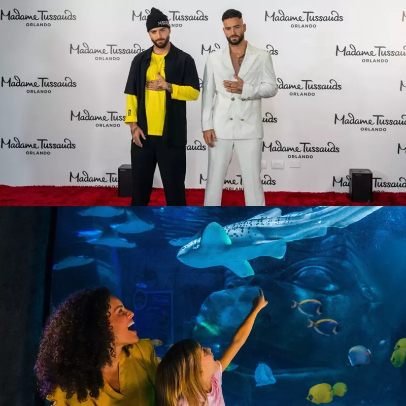 Two life-like wax figures of Maluma dressed in casual and formal attire on the red carpet at Madame Tussauds Orlando. Bottom image: A mother and child excitedly pointing at a zebra shark and colorful fish swimming in an underwater exhibit at SEA LIFE Orlando Aquarium.